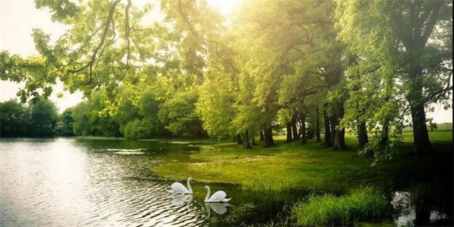 申博官网红瞰花园洋房