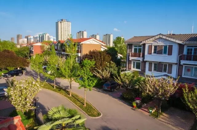 纸杯蛋糕 | 繁花五月，，，唯爱绵绵